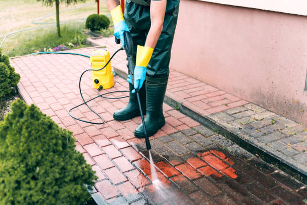 Best Roof Pressure Washing  in Dallas, NC